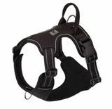 No-Pull Dog Harness & Leash Set – Padded, Adjustable