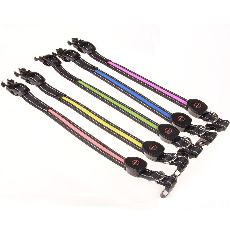 Light-up LED dog collar glowing at night