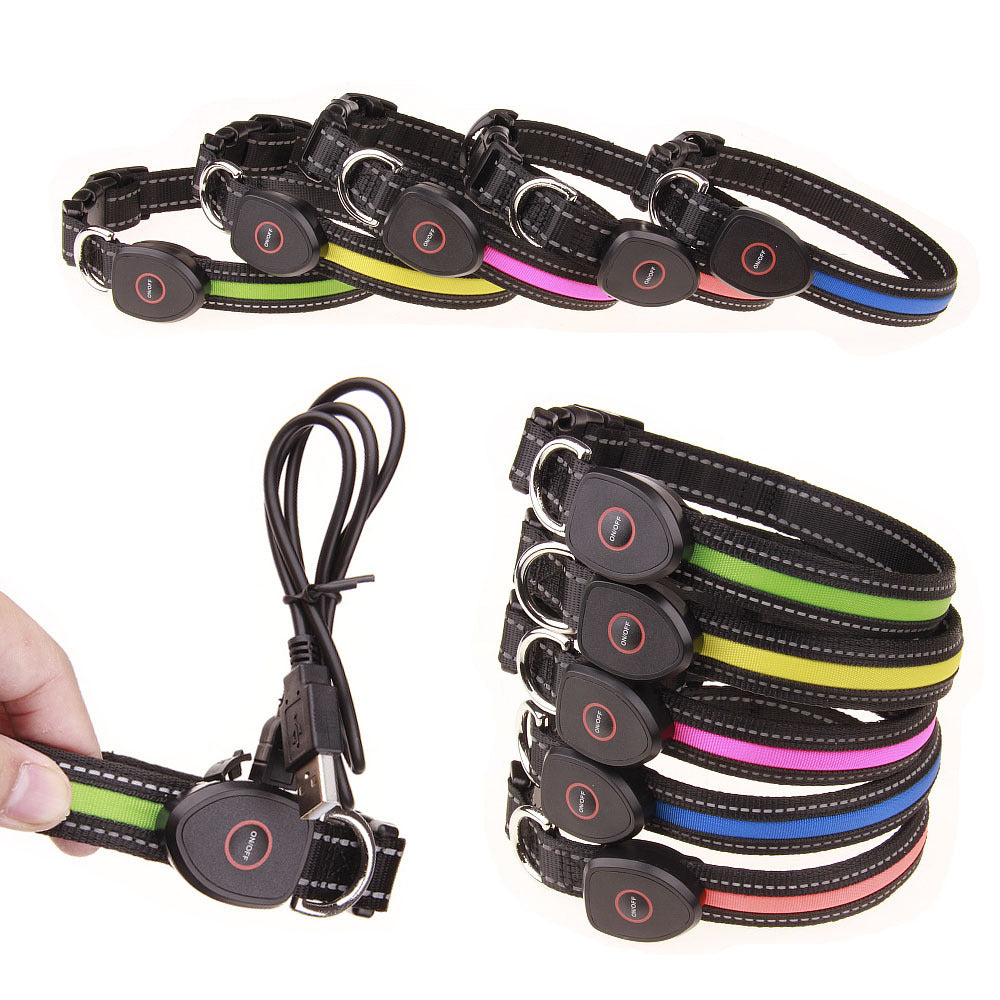 Light-up LED dog collar glowing at night – view 2