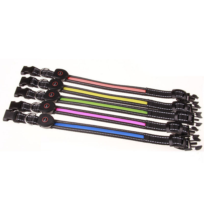 Light-Up LED Dog Collar – USB Rechargeable