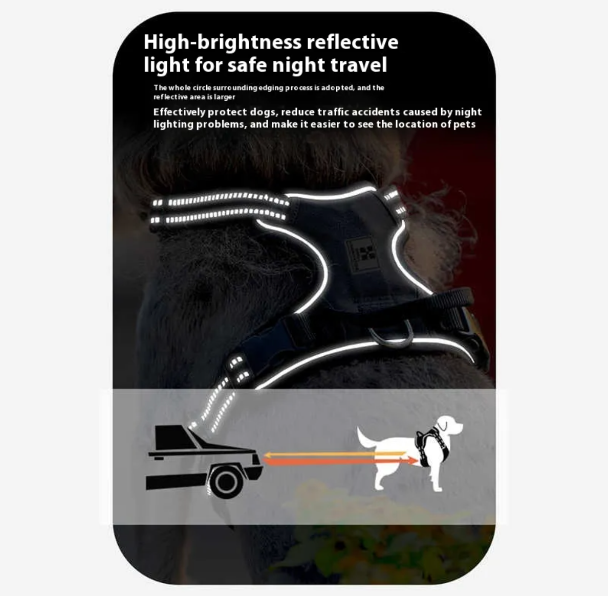 No-pull dog harness and leash set