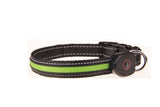 Light-Up LED Dog Collar – USB Rechargeable