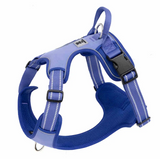 No-Pull Dog Harness & Leash Set – Padded, Adjustable