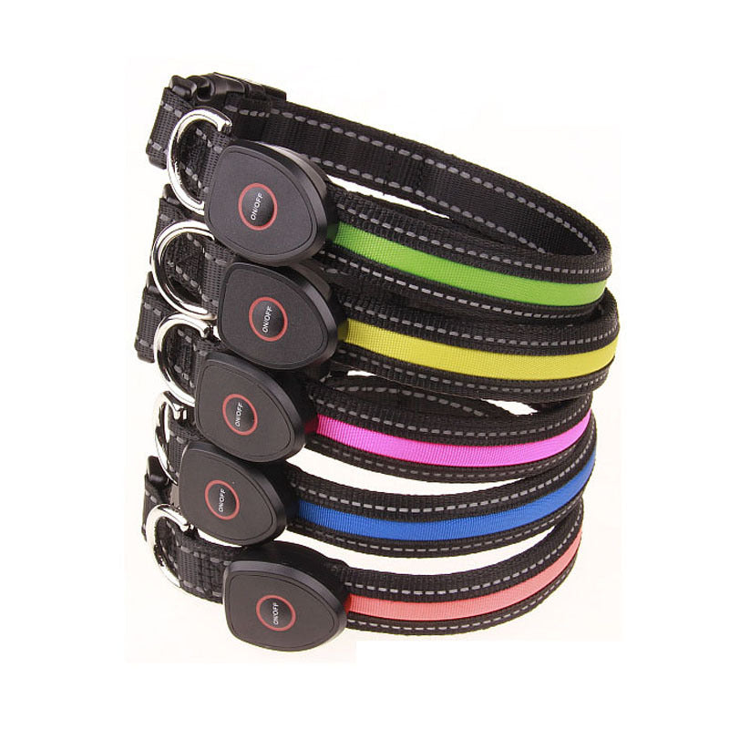 Light-up LED dog collar glowing at night – view 3